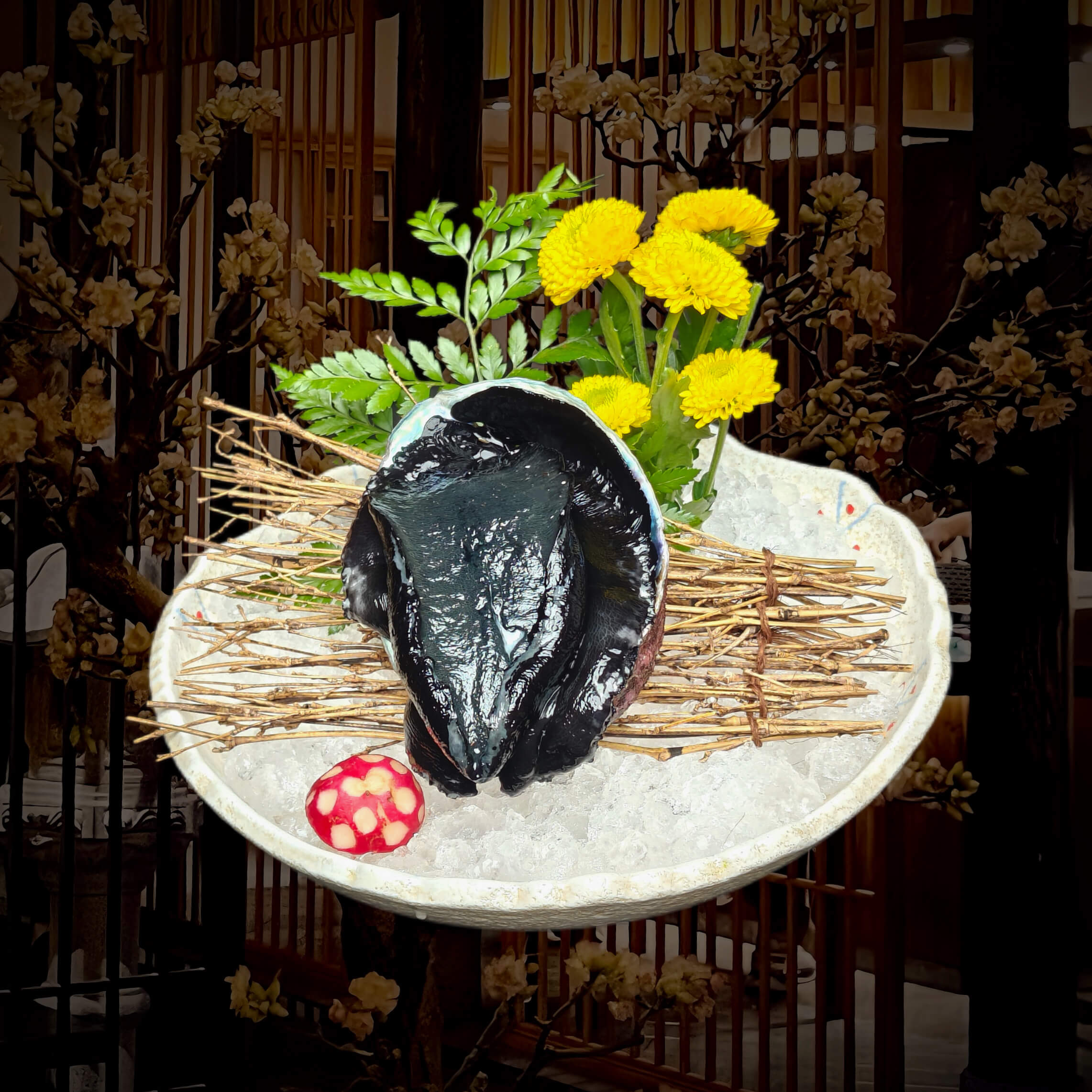 野生黑金鲍（只）